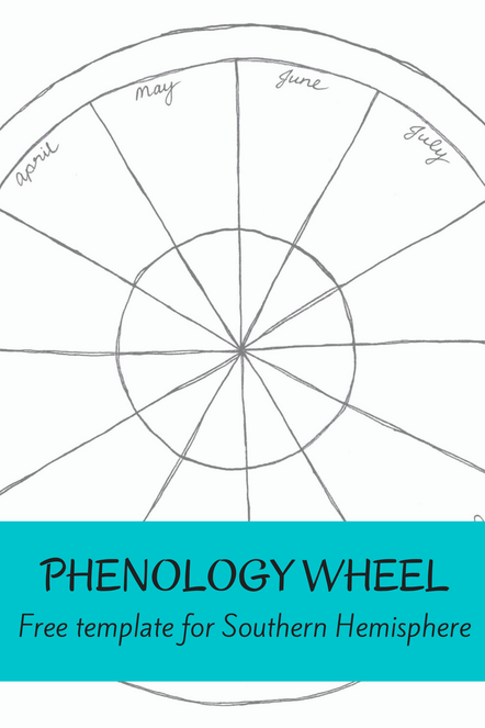 Free Phenology Wheel Template for Australia WILD HEART HOMESCHOOL